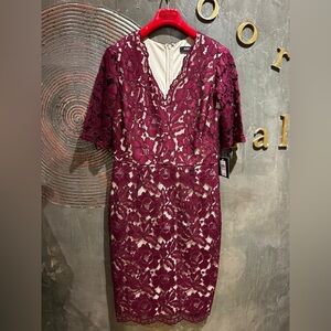 NWT Ellen Tracy Burgundy Lace Midi Dress size 6